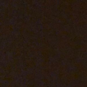 Meet your Posher, Evan